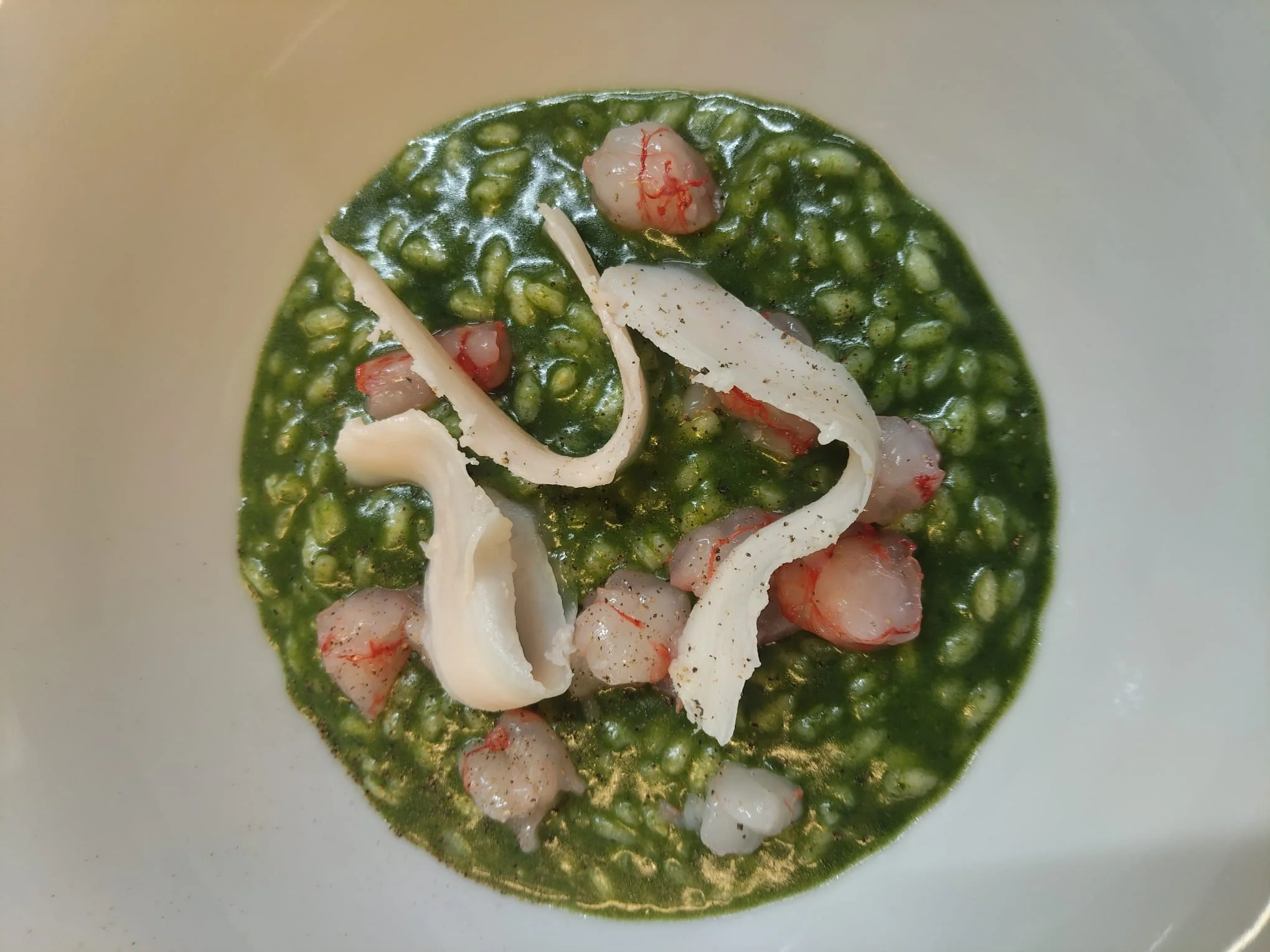 Risotto verde con tartare di gambero e calamaro